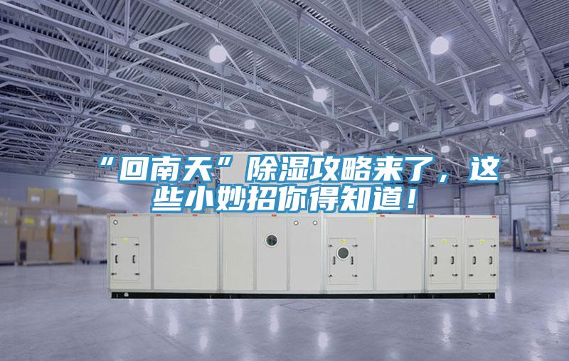 “回南天”除濕攻略來了,這些小妙招你得知道!