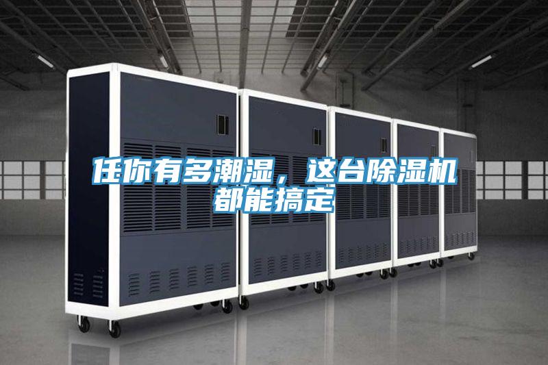 任你有多潮濕,這臺(tái)除濕機(jī)都能搞定