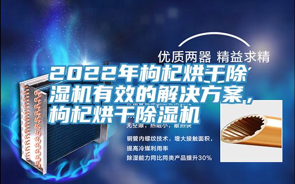 2022年枸杞烘干除濕機有效的解決方案,枸杞烘干除濕機