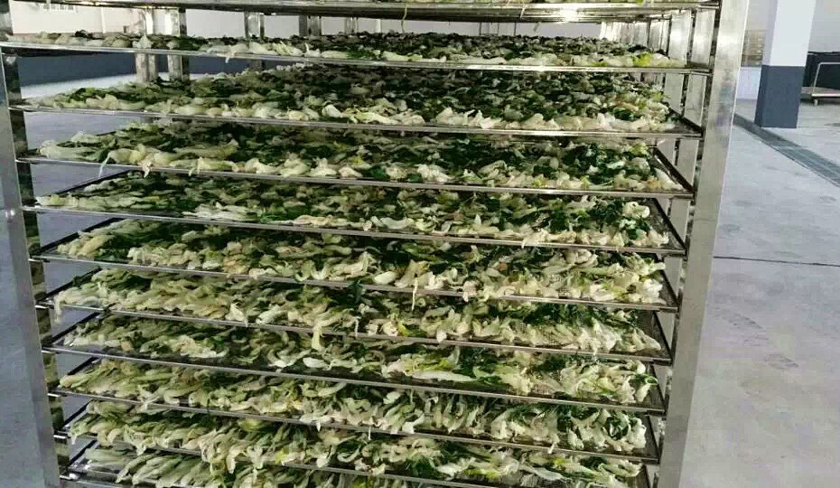 菜干需求一直都很大，蔬菜烘干機(jī)很有市場