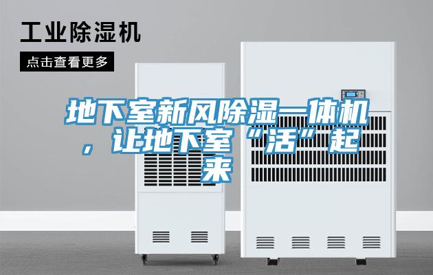 地下室新風除濕一體機,讓地下室“活”起來