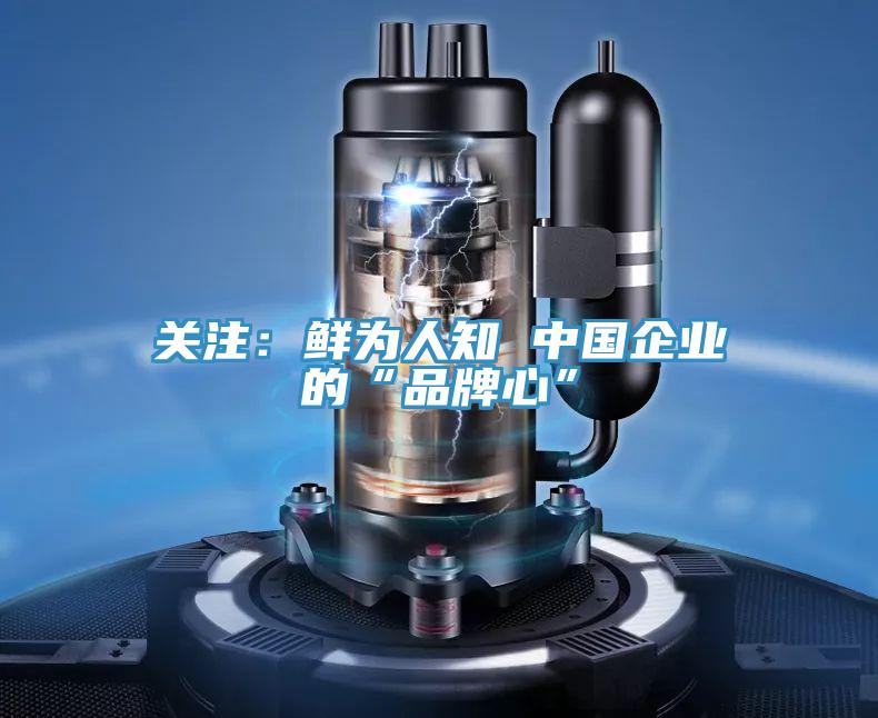 關注:鮮為人知 中國企業(yè)的“品牌心”