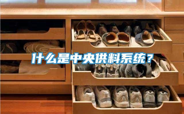 什么是中央供料系統(tǒng)？