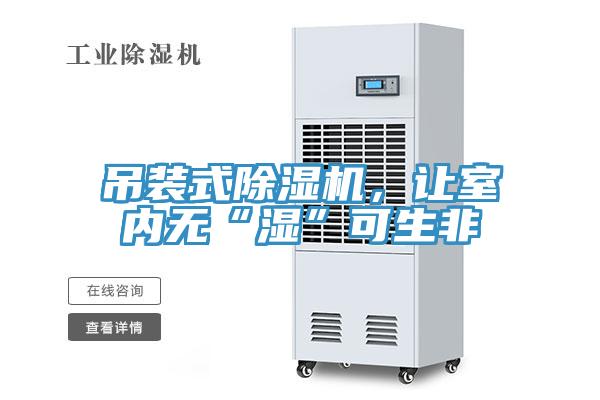 吊裝式除濕機，讓室內無“濕”可生非