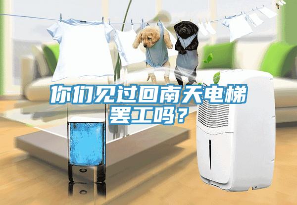 你們見過回南天電梯罷工嗎?