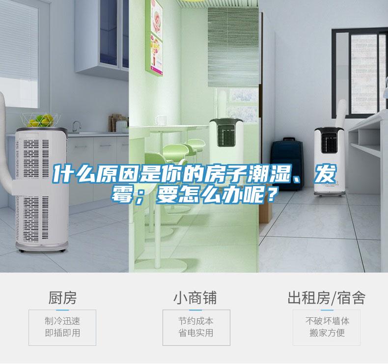 什么原因是你的房子潮濕、發(fā)霉；要怎么辦呢？