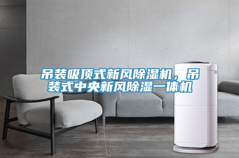 吊裝吸頂式新風除濕機，吊裝式中央新風除濕一體機