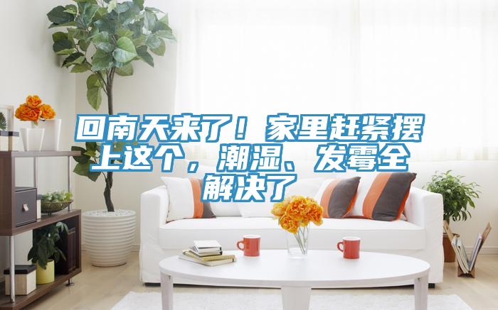 回南天來了!家里趕緊擺上這個,潮濕、發霉全解決了