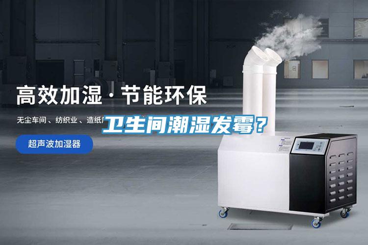 衛(wèi)生間潮濕發(fā)霉?