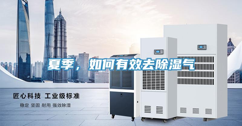 夏季，如何有效去除濕氣