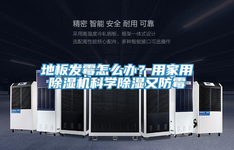 地板發(fā)霉怎么辦?用家用除濕機(jī)科學(xué)除濕又防霉