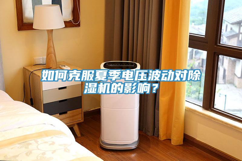 如何克服夏季電壓波動對除濕機的影響？