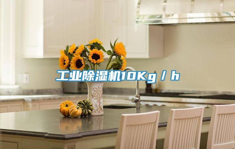 工業除濕機10Kg/h