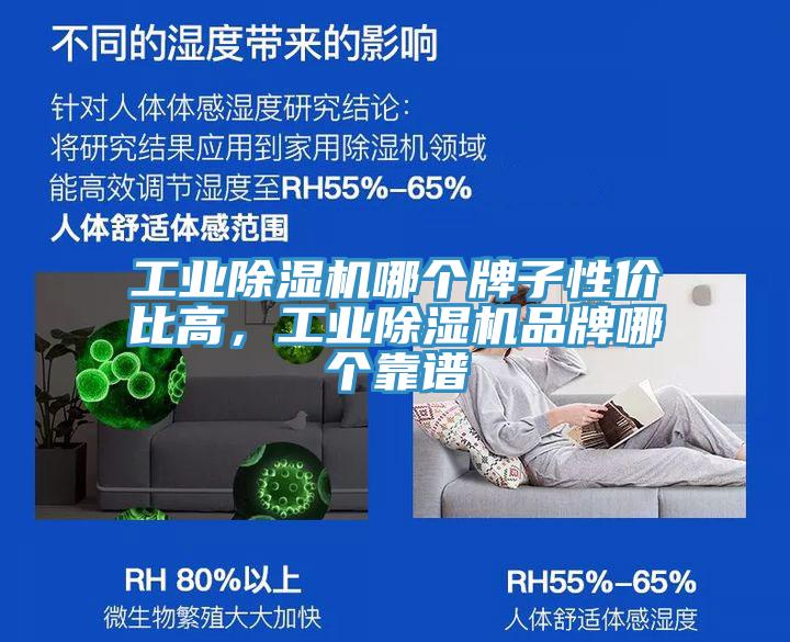 工業除濕機哪個牌子性價比高,工業除濕機品牌哪個靠譜