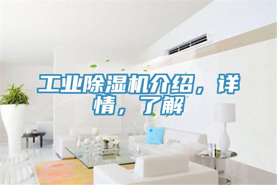 工業(yè)除濕機(jī)介紹,詳情,了解