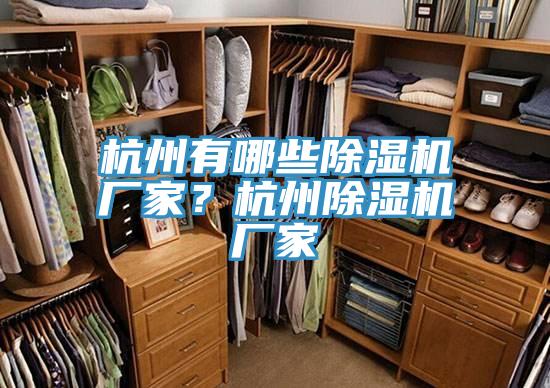 杭州有哪些除濕機(jī)廠家?杭州除濕機(jī)廠家