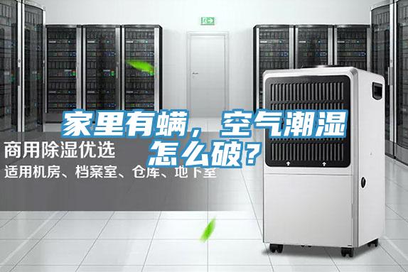 家里有螨，空氣潮濕怎么破？