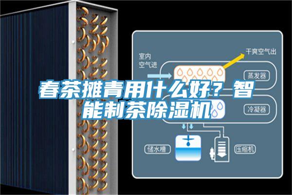 春茶攤青用什么好?智能制茶除濕機