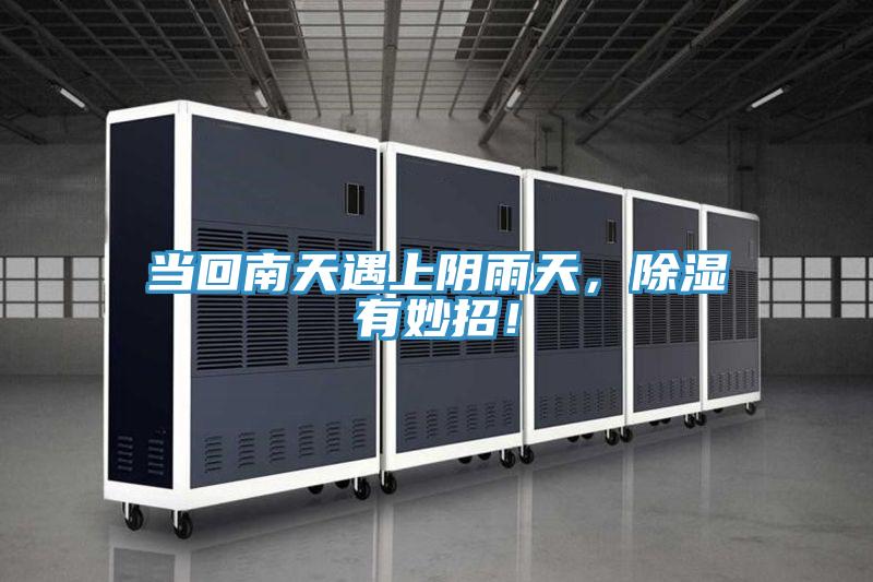 當(dāng)回南天遇上陰雨天，除濕有妙招！