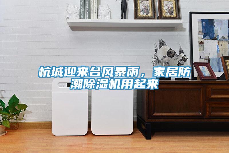 杭城迎來臺(tái)風(fēng)暴雨,家居防潮除濕機(jī)用起來