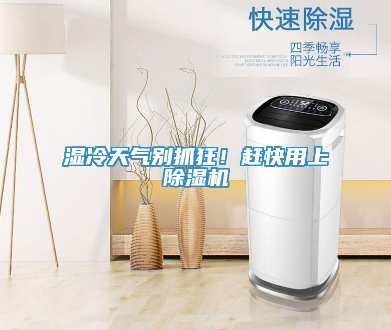 濕冷天氣別抓狂！趕快用上除濕機