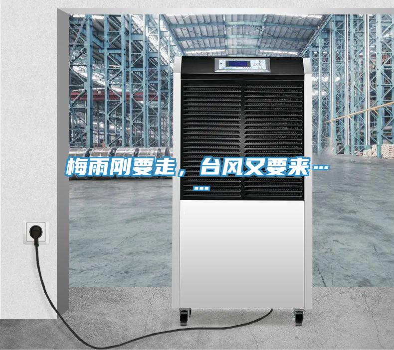 梅雨剛要走,臺風(fēng)又要來……