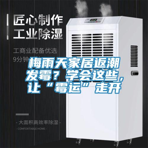 梅雨天家居返潮發(fā)霉？學(xué)會這些，讓“霉運”走開