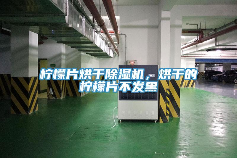 檸檬片烘干除濕機,烘干的檸檬片不發(fā)黑