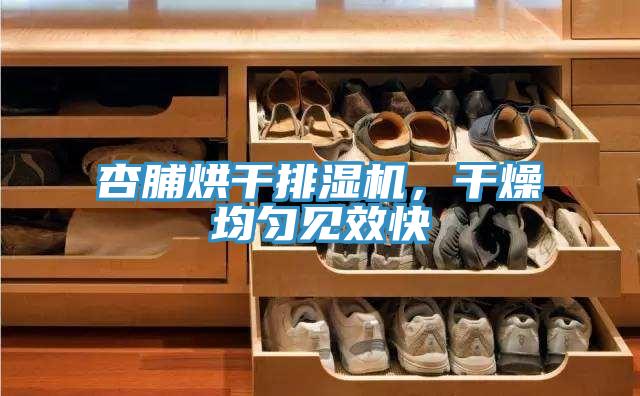 杏脯烘干排濕機，干燥均勻見效快