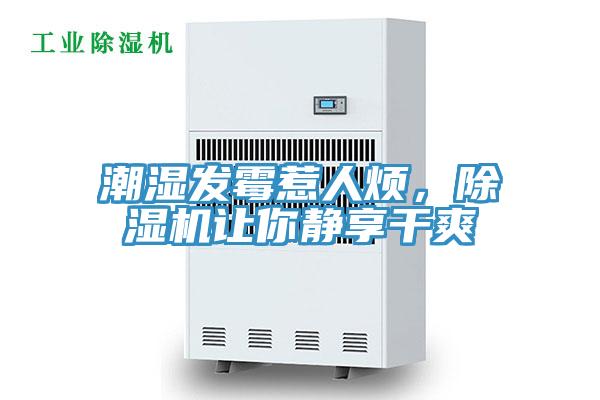 潮濕發(fā)霉惹人煩，除濕機(jī)讓你靜享干爽