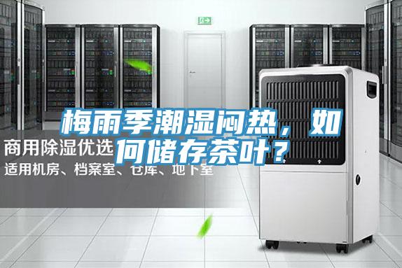 梅雨季潮濕悶熱,如何儲存茶葉?