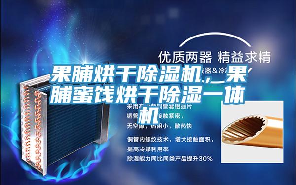 果脯烘干除濕機,果脯蜜餞烘干除濕一體機