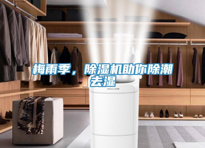 梅雨季,除濕機助你除潮去濕