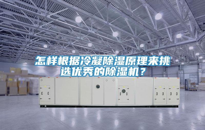 怎樣根據(jù)冷凝除濕原理來挑選優(yōu)秀的除濕機(jī)？
