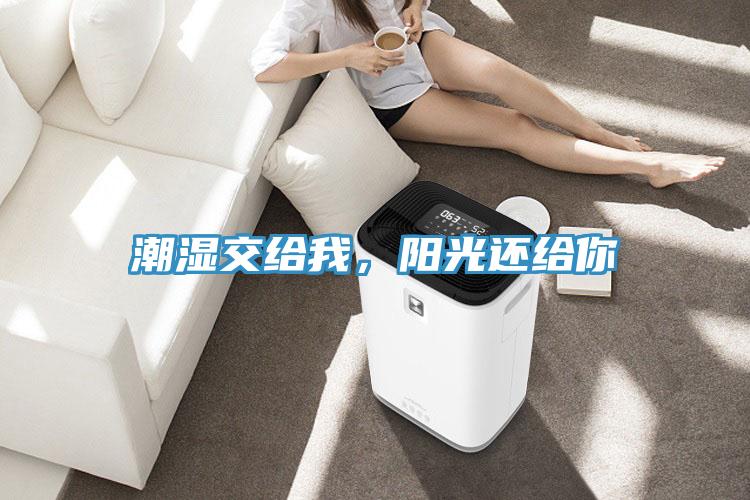 潮濕交給我，陽光還給你