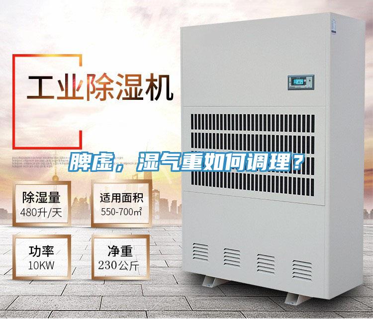 脾虛，濕氣重如何調理？