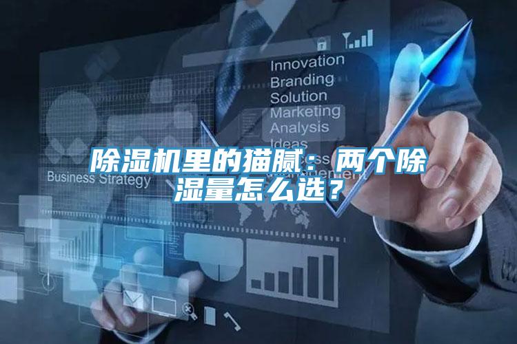 除濕機里的貓膩：兩個除濕量怎么選？