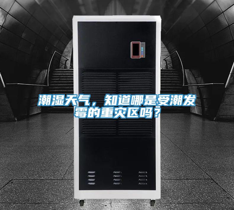 潮濕天氣,知道哪是受潮發霉的重災區嗎?