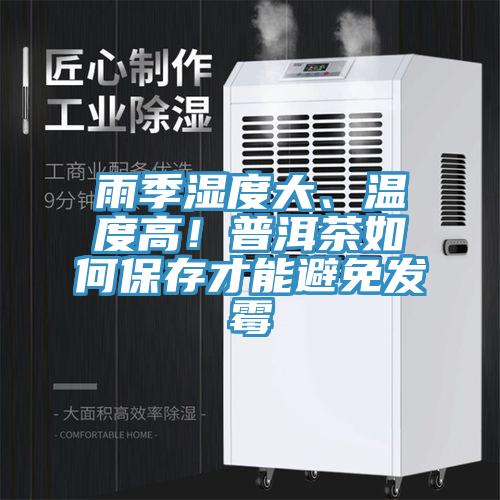 雨季濕度大、溫度高！普洱茶如何保存才能避免發(fā)霉