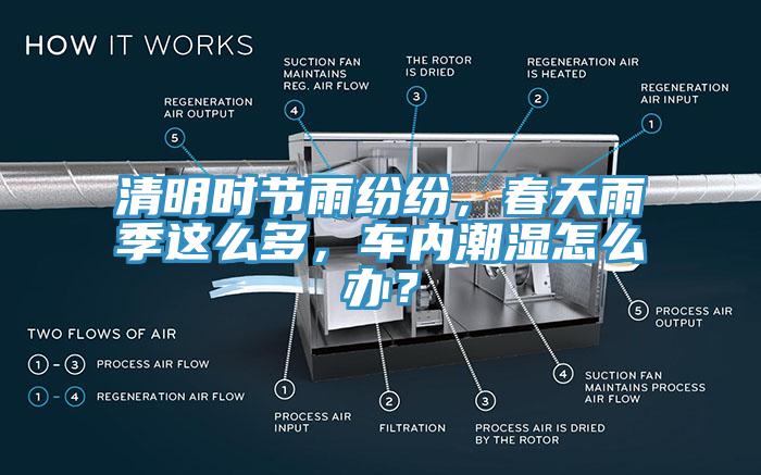 清明時(shí)節(jié)雨紛紛，春天雨季這么多，車內(nèi)潮濕怎么辦？