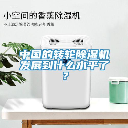 中國的轉輪除濕機發展到什么水平了？