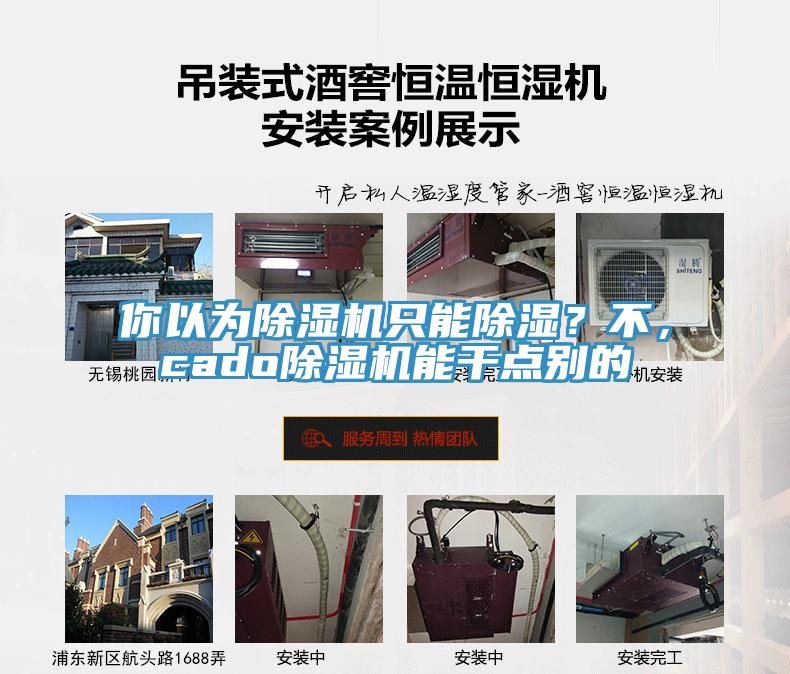 你以為除濕機(jī)只能除濕？不，cado除濕機(jī)能干點(diǎn)別的