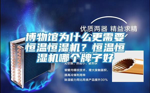 博物館為什么更需要恒溫恒濕機(jī)?恒溫恒濕機(jī)哪個牌子好