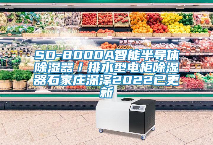 SD-8000A智能半導(dǎo)體除濕器/排水型電柜除濕器石家莊深澤2022已更新