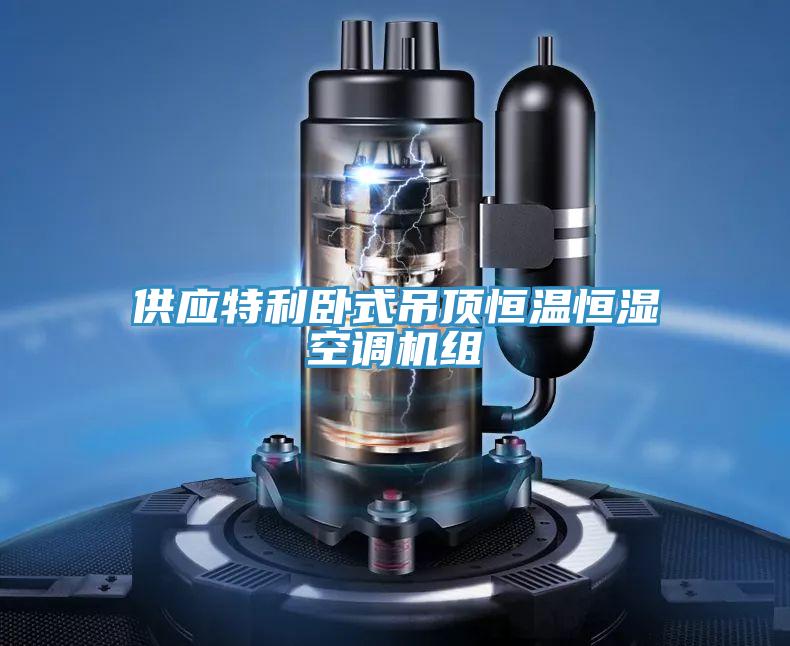 供應特利臥式吊頂恒溫恒濕空調機組