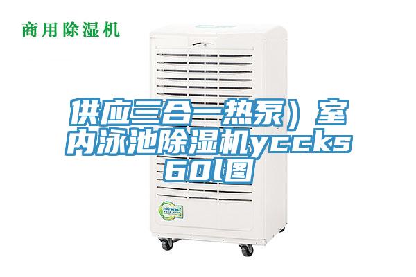 供應(yīng)三合一熱泵)室內(nèi)泳池除濕機(jī)yccks60l圖