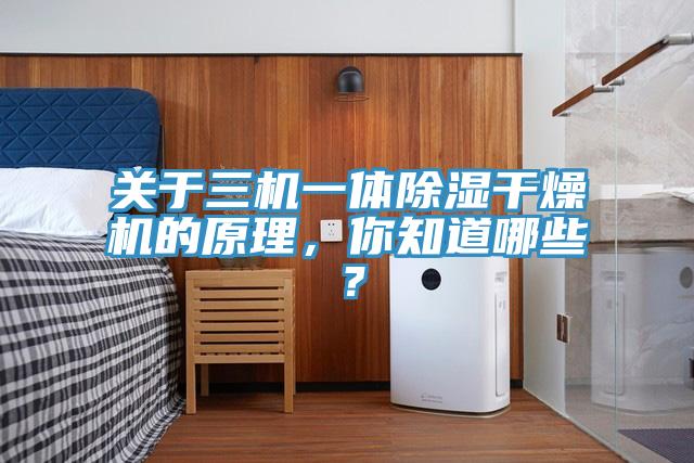 關(guān)于三機一體除濕干燥機的原理，你知道哪些？