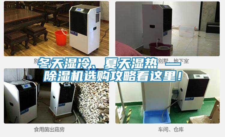 冬天濕冷、夏天濕熱 — 除濕機(jī)選購攻略看這里！