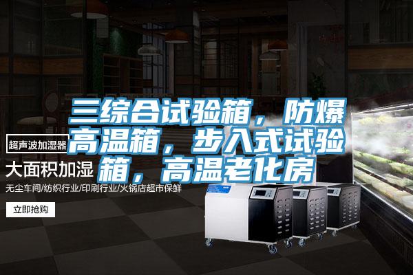 三綜合試驗箱，防爆高溫箱，步入式試驗箱，高溫老化房