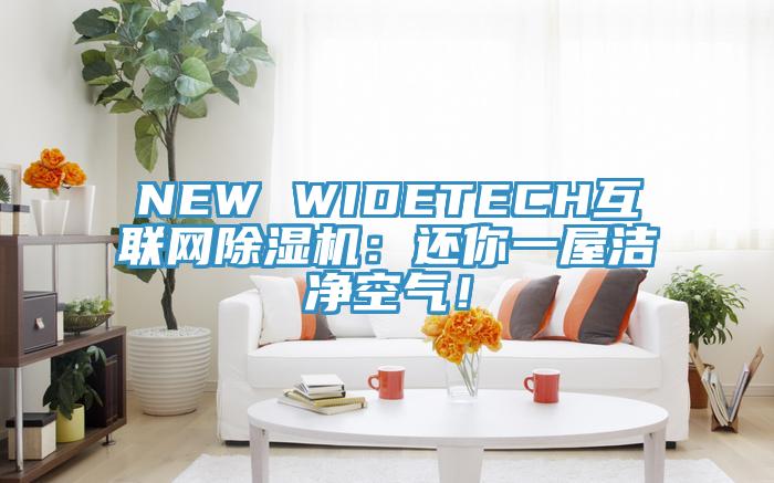 NEW WIDETECH互聯網除濕機：還你一屋潔凈空氣！